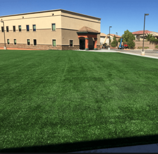 Grass Artificial Synthetic Organic Residential Commercial Contract Outdoor Indoor Mexico Resort Hotels Las Vegas California